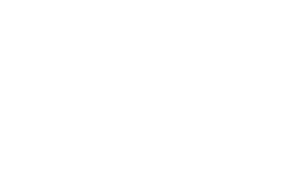 Robert Bortins RB logo in white